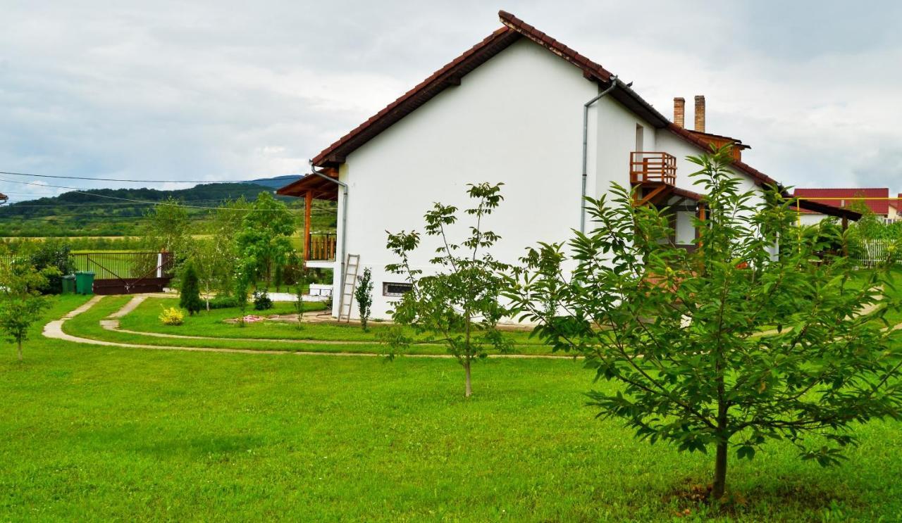 Vila Tara Hategului Exterior photo
