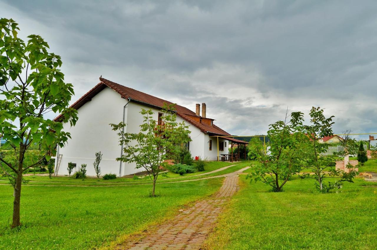 Vila Tara Hategului Exterior photo