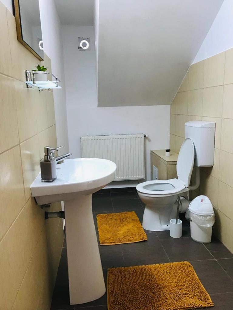 Vila Tara Hategului Room photo